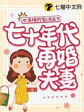 七十年代再婚夫妻txt