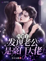 闪婚丈夫是公司总裁